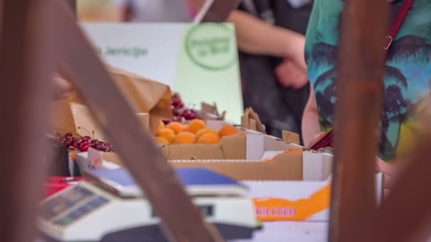 Verkäufer verkauft frische Kirschen — Stockvideo