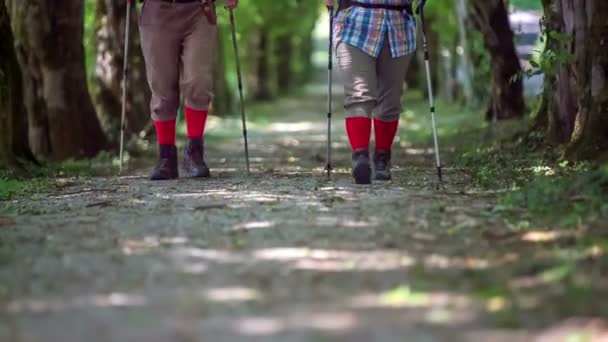 Dois caminhantes seniores estão caminhando . — Vídeo de Stock