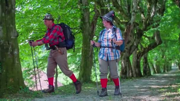 İki yaşlı yürüyüşçü hiking. — Stok video