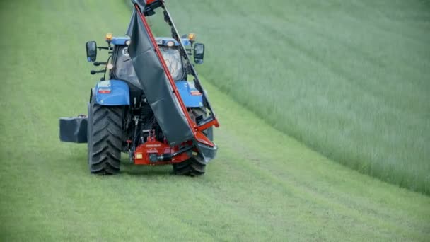 Traktor pflügt Feld um — Stockvideo