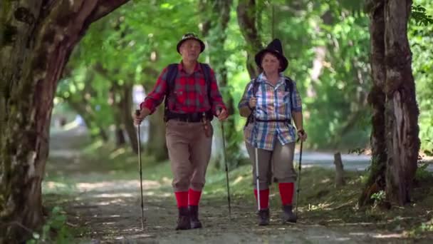 Los excursionistas están caminando en un sendero — Vídeos de Stock