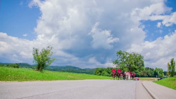 Pessoas montando em Carruagem de cavalo na cerimônia de casamento — Vídeo de Stock