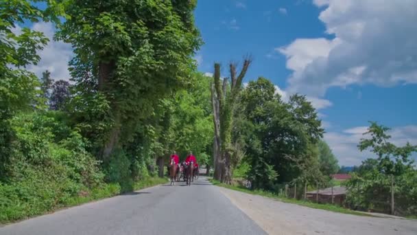 Cérémonie de mariage en calèche — Video