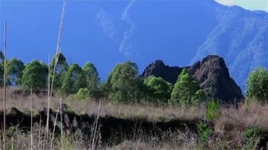 Bali Adası'yeşil taşlar