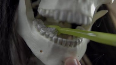 İskelet'ın diş fırçalama