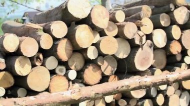 Kereste çorap için uzun günlüğü aşağı koyarak