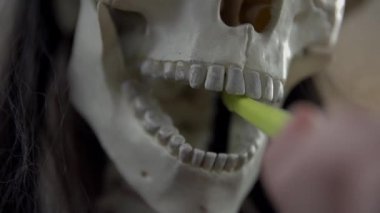 İskelet'ın diş fırçalama