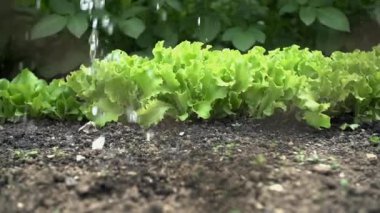 El ile Bahçe Sulama