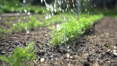 El ile Bahçe Sulama