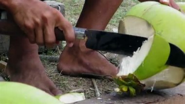 Adam'ın doğrama Hindistan cevizi eller