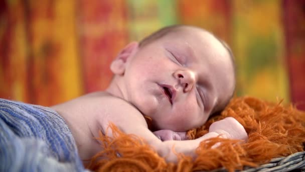 Le bébé dort dans le panier — Video