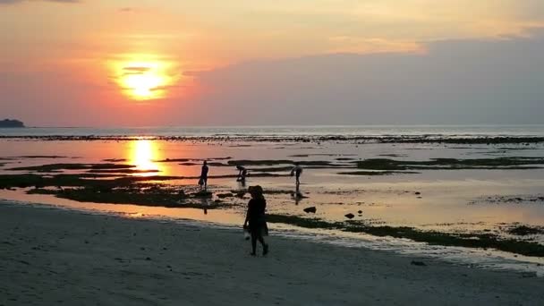 Splendido e romantico tramonto sull'isola — Video Stock