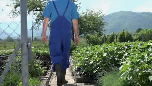 Jardinero caminando en el jardín — Vídeos de Stock