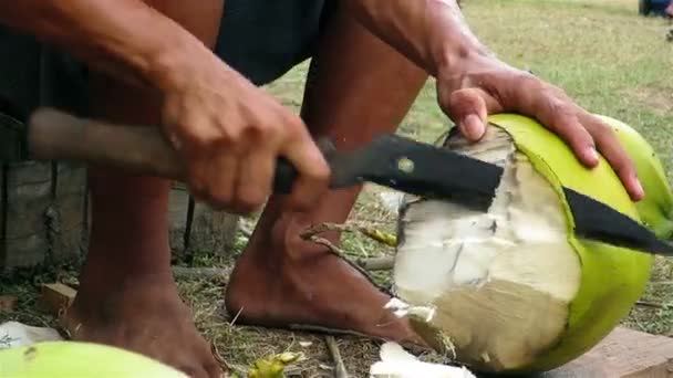 Mans de handen van de kokosnoot — Stockvideo