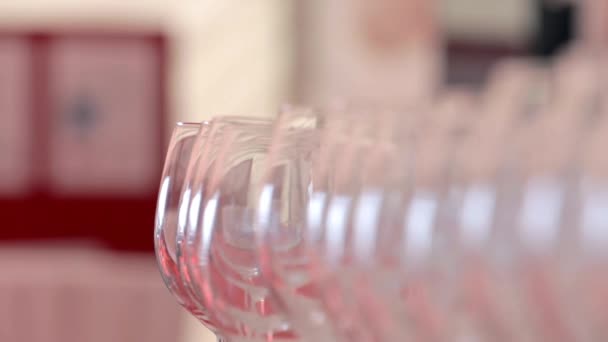 Row of wine glasses — Stock Video