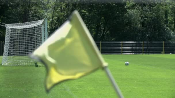 Güneşli bir günde futbol sahası üzerinde bayrak — Stok video