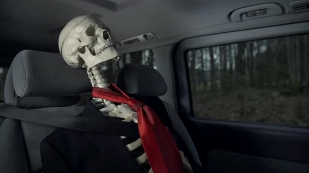 Uitgebeend skelet in het auto rijden — Stockvideo