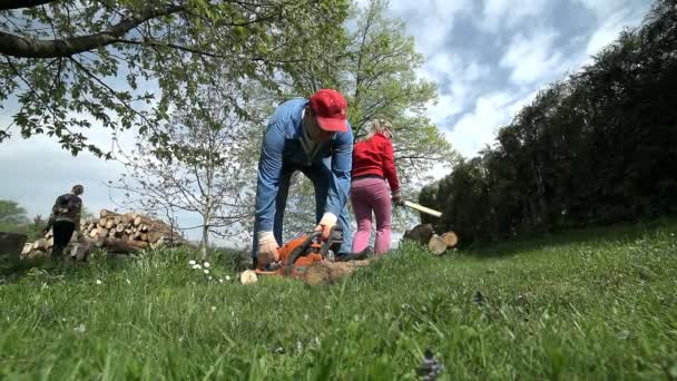 チェーンソーで木を切る男 — ストック動画