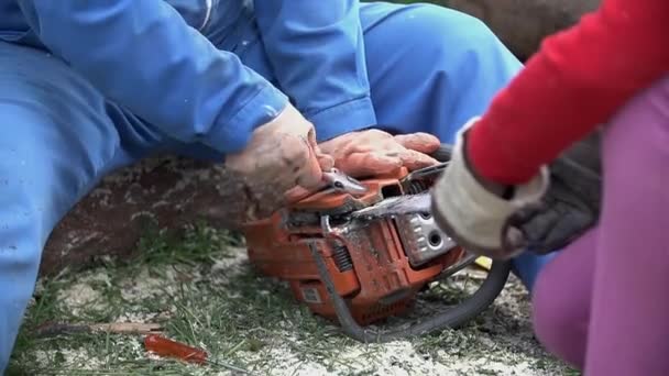 Second person help fix chainsaw holding chain — Stock Video