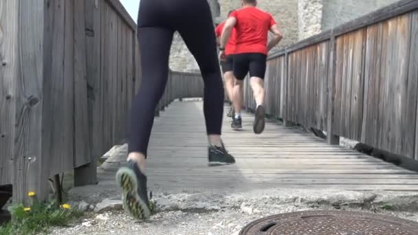 Compañeros de equipo corriendo sobre puente de madera — Vídeos de Stock