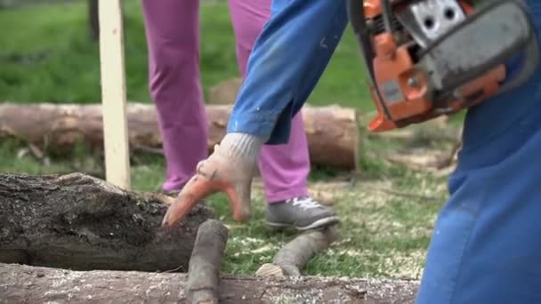 Removendo ramo de logs em câmera lenta — Vídeo de Stock