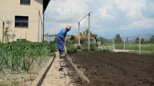 Agricultor virando o solo — Vídeo de Stock