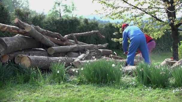 İşçi chainsawing yavaş çekimde günlüğe kaydeder. — Stok video