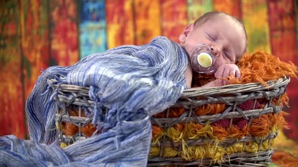 Baby is sleeping in the basket — Stock Video