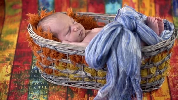 Il bambino sta dormendo nel cesto — Video Stock