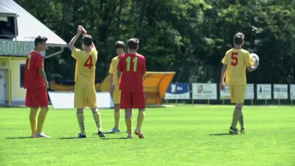 시작을 기다리는 게임 축구장에 소년 — 비디오