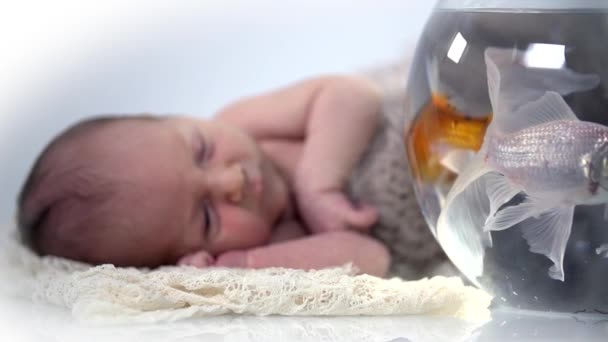Bebé acostado al lado de la pecera — Vídeos de Stock