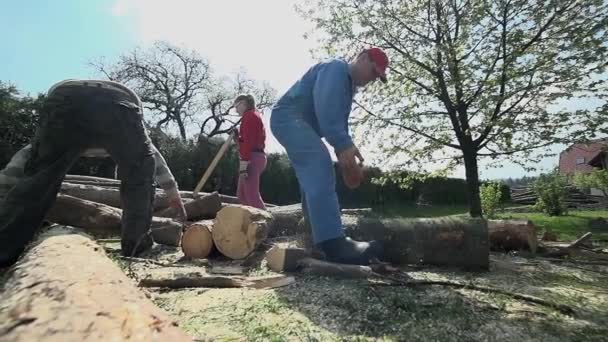 Lidé skladování dřeva pro chladné dny — Stock video