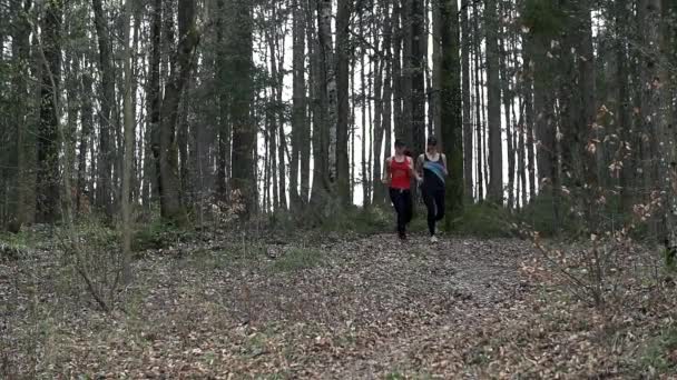 Caben chicas atractivas trotando — Vídeos de Stock