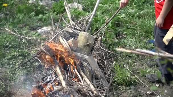 Muž dávat dřevo na oheň — Stock video