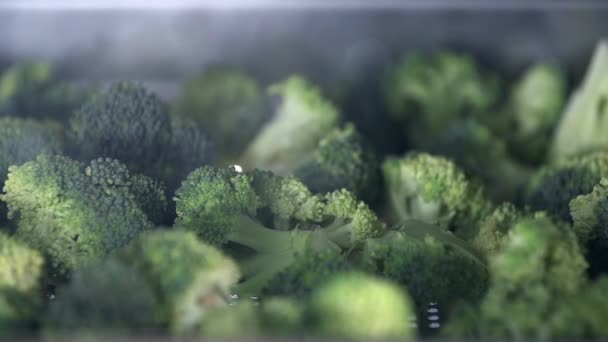 Broccoli is cooking in the oven — Stock Video
