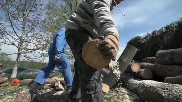 Recoger el tronco y quitar el aserrín y llevar — Vídeo de stock