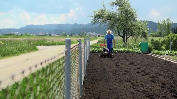 Landbouwproducent met gebruikmaking van de kleine ploegen machine — Stockvideo