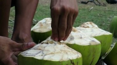 Adam'ın hazırlanması hindistancevizi eller