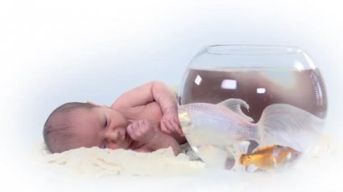 Bebek balık yuvarlak kase yanında yalan