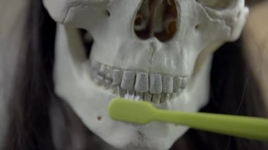 Brushing iskelet'ın diş el