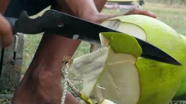 Adam'ın doğrama Hindistan cevizi eller