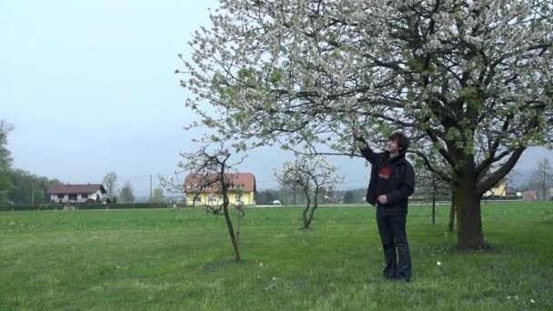 Homme secouant des branches — Video