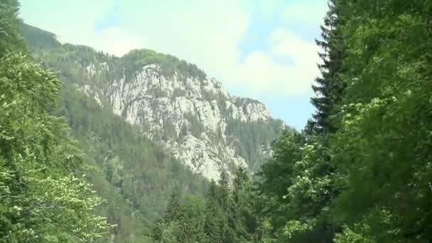 Пересекая горы и лес — стоковое видео