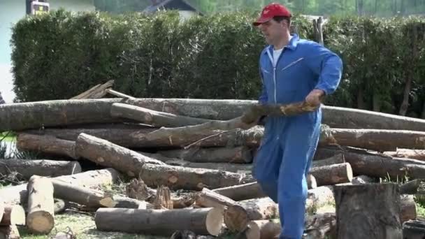 Man carry branch log away from pile — Stock Video