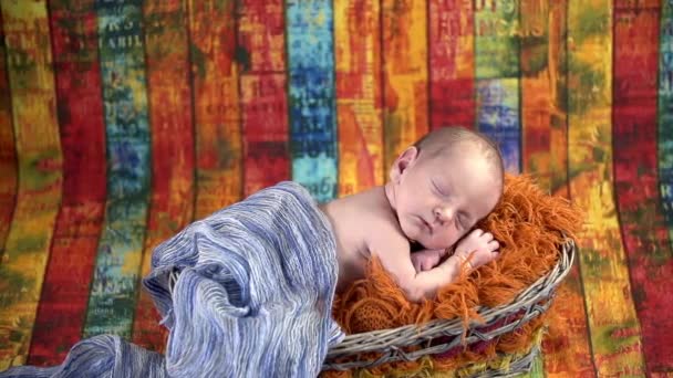 El bebé duerme en la cesta. — Vídeo de stock
