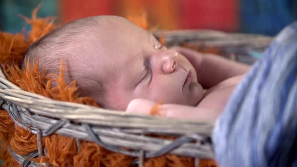 Barnet sover i korgen — Stockvideo