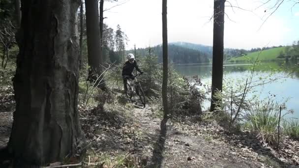 Reiter reitet im Wald — Stockvideo