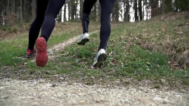 Passar attraktiva flickor jogging — Stockvideo