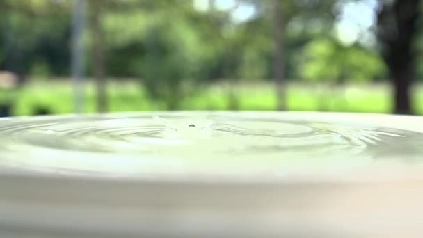 Drops falling onto the surface of water — Stock Video