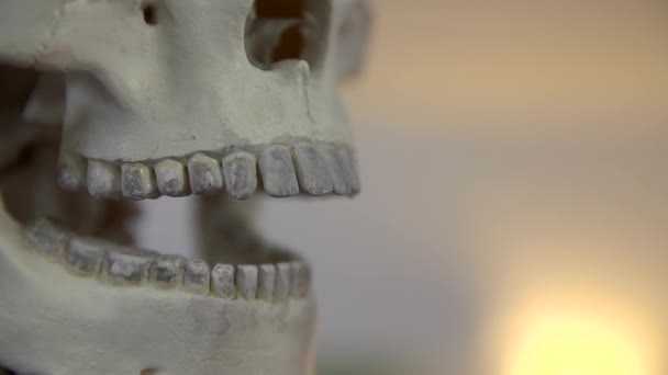 Mandíbula móvil del cráneo — Vídeos de Stock